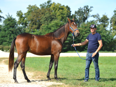 RAZSTAVA ENOLETNIKOV 2020