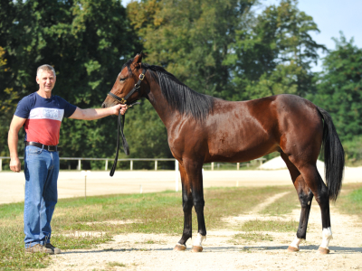 RAZSTAVA ENOLETNIKOV 2020