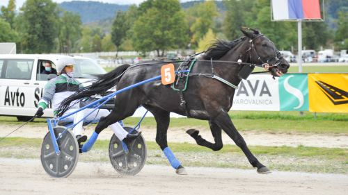 Take Me Home v Bologni do nove zanesljive zmage