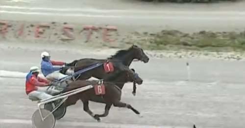 Anabella za las ob prvo zmago slovenskih dveletnikov v Italiji