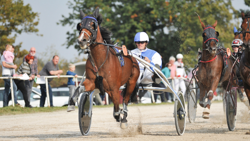 Izvrsten nastop Ajde in Rigilla za novo slovensko zmago v Trstu