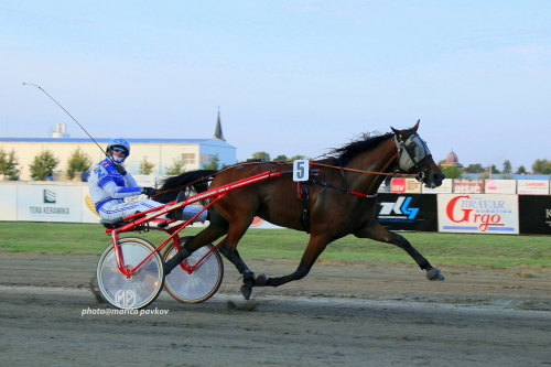 RIGILL ZMAGAL V TRSTU