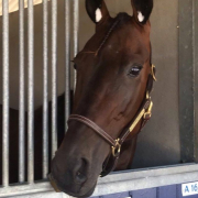 Tiffany Stars postavila nov slovenski rekord - 1:11,5