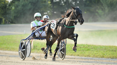 RIGILL ZMAGAL V TRSTU