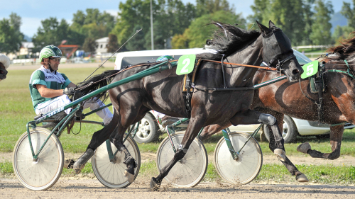 RIGILL ZMAGAL V TRSTU